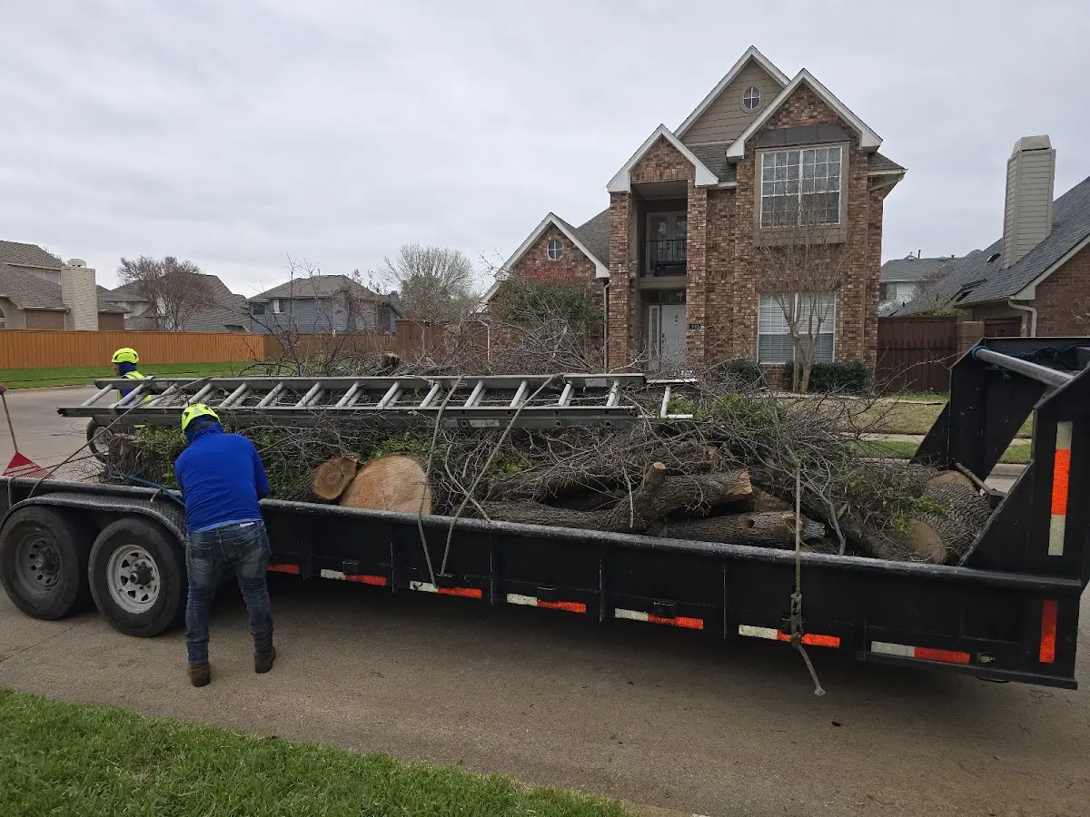Expert Tree Fertilization with proper safety equipment in Claiborne